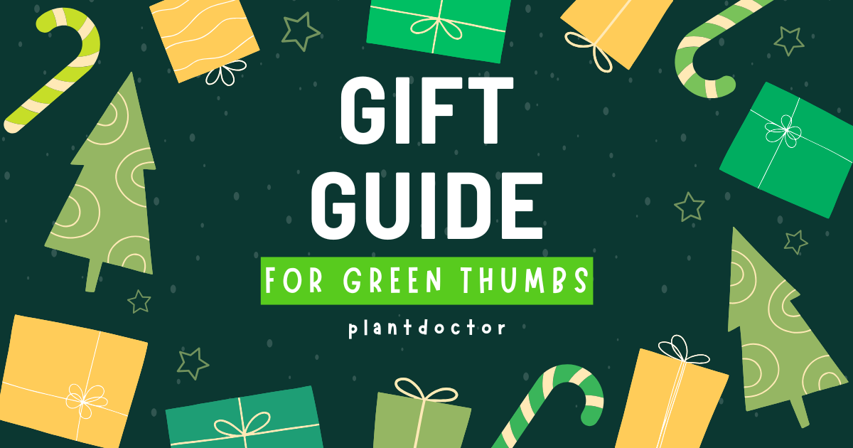 The Ultimate Christmas Gift Guide for Gardeners, Lawn Lovers, and Plant Enthusiasts