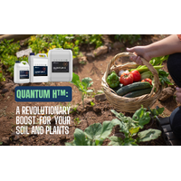 Quantum H™: A Revolutionary Boost for Your Soil and Plants